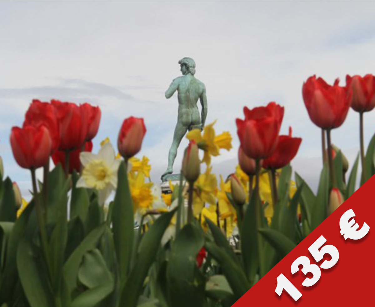 PIAZZALE MICHELANGELO TRA ROSE E IRIS