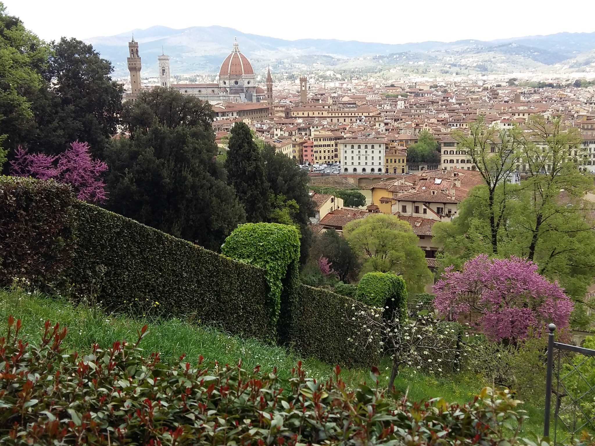 Vista dal Giardino Bardini MY FLORA GUIDE