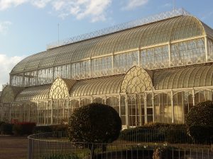 glasshouse erected by Giacomo Roster