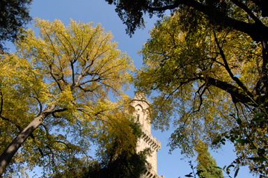 giardino torrigiani
