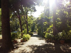 florence botanical garden