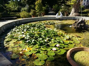 florence botanical garden