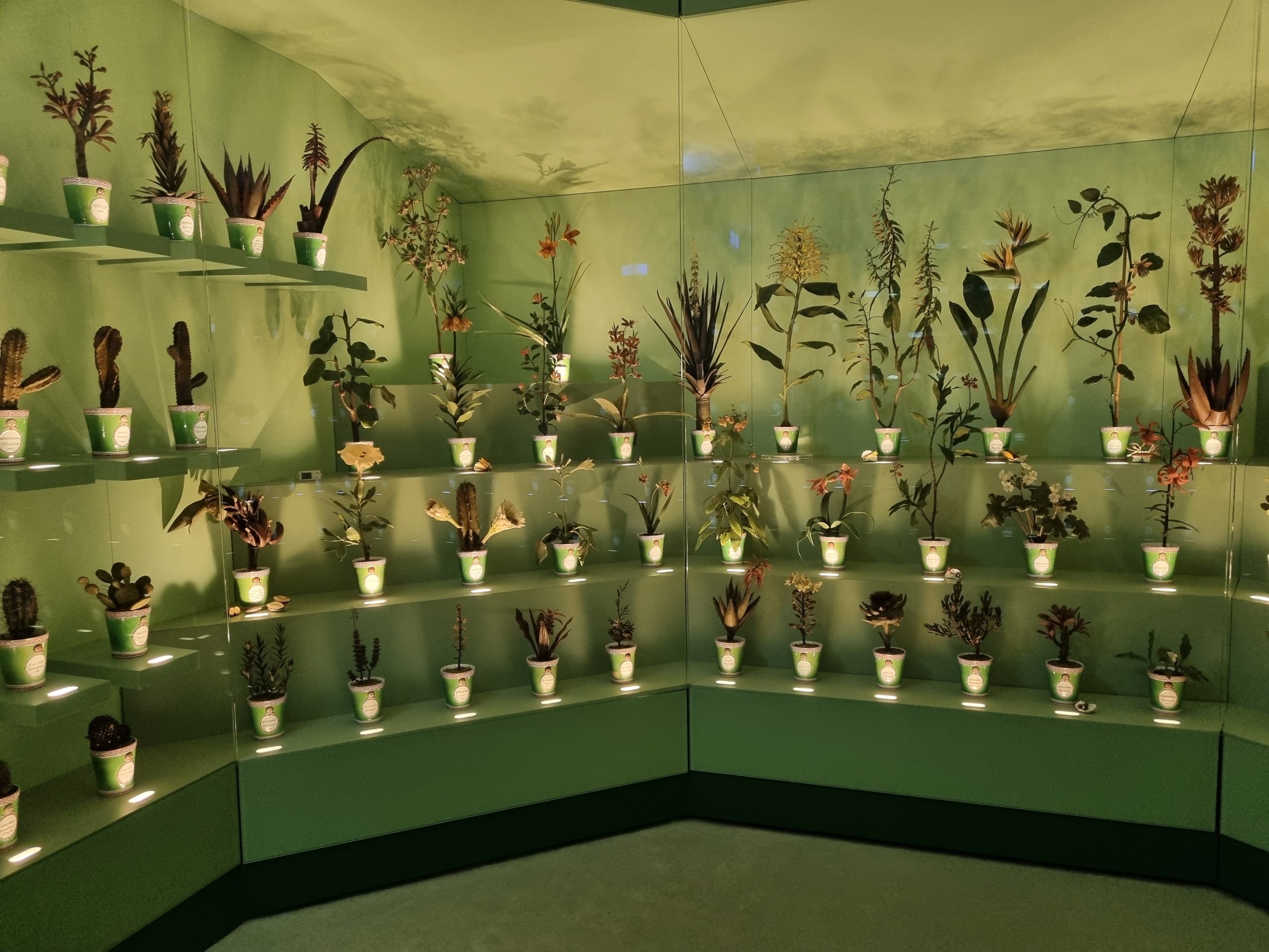 La Specola Museum